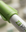 Onpharma Company logo